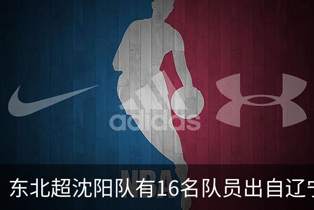 东北超沈阳队有16名队员出自辽宁铁人青训，前两场球队一共进4球
