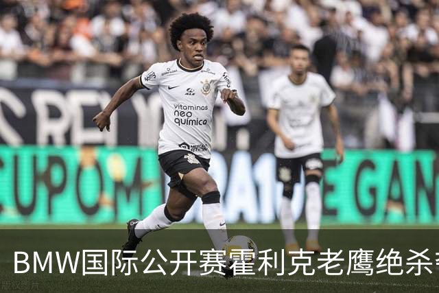 BMW国际公开赛霍利克老鹰绝杀夺首冠 吴阿顺T7